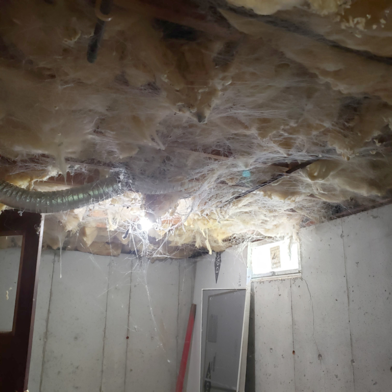 The Green Cocoon - Insulation against cobwebs